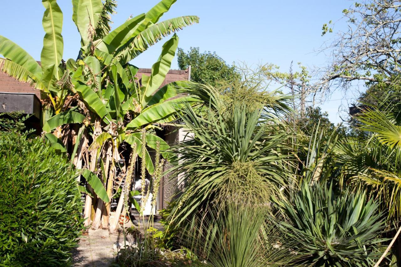 Fargues-Saint-Hilaire Villa Margaux المظهر الخارجي الصورة